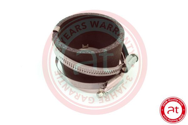 Charger Air Hose Ford Focus II