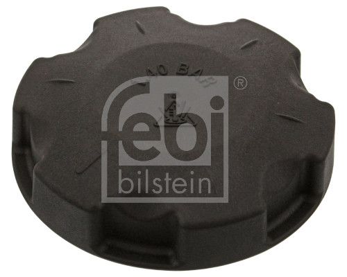 Cap, coolant tank BMW - 17 11 7 639 020