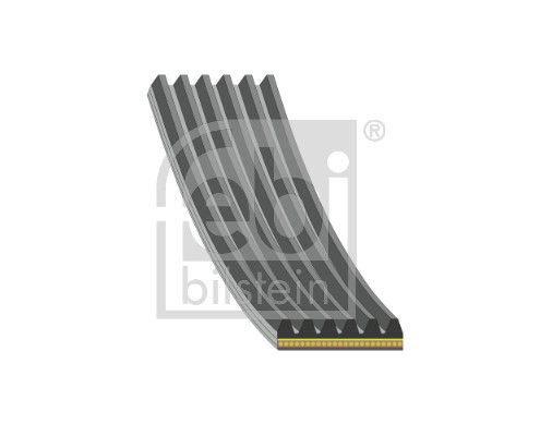 V-Ribbed Belt Not assigned