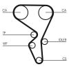Water Pump & Timing Belt Kit PSA - 16 107 934 80