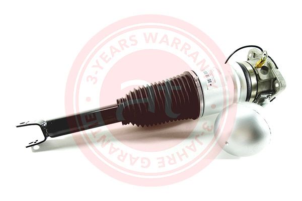Air Suspension Strut VAG Phaeton (3D) (2002 - 2016)
