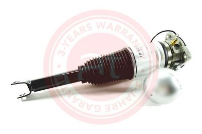 Air Suspension Strut VAG Phaeton (3D) (2002 - 2016)