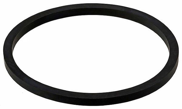 Seal, water pump Iveco