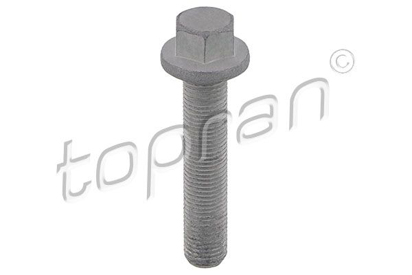 Pulley Bolt BMW - 11 21 7 548 156