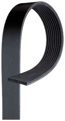V-Ribbed Belt