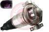 Air Suspension Strut VAG - 7L6 616 019 D