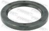 Seal Ring, wheel hub NISSAN 40232-9X50A