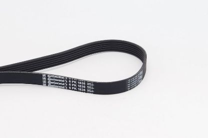 V-Ribbed Belt BMW - 11 28 8 477 780