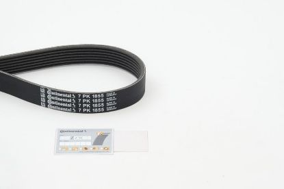V-Ribbed Belt BMW - 11 28 7 557 858