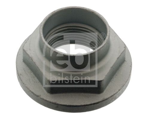 Nut, kingpin BMW 31 21 1 125 826