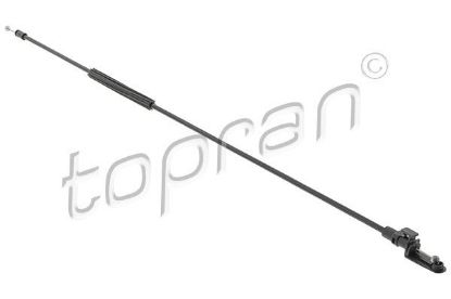 Bonnet Cable VAG - 2H0823531