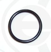 Seal Ring 23 x 2,5  ACM 70 SH