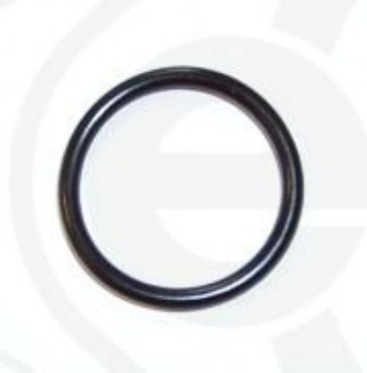 Seal Ring 23 x 2,5  ACM 70 SH