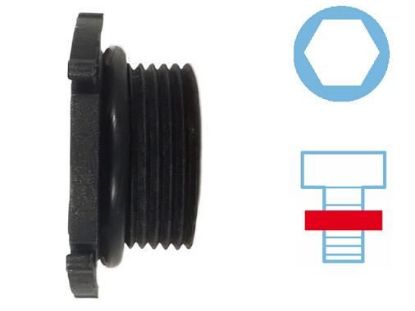 Screw Plug, oil sump BMW - 11 13 7 605 018