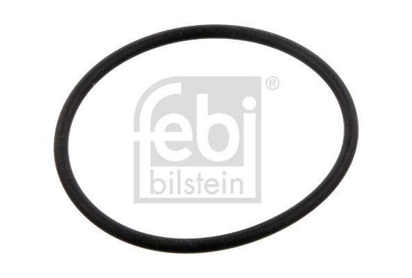 Seal Ring, steering knuckle Volvo Lkw 925092