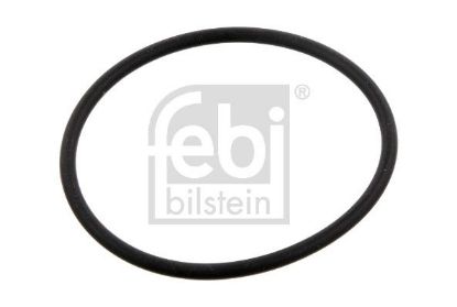 Seal Ring, steering knuckle Volvo Lkw 925092