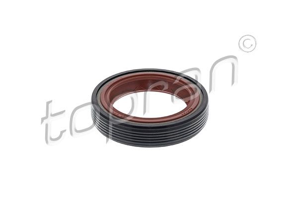 Shaft Seal, crankshaft VAG