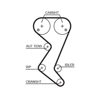 Timing Belt C4 (LC_), C5 (RC_)