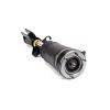 Air Suspension Strut BMW X5 (E53) 00-07 esi parem 37116761444