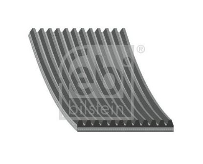 V-Ribbed Belt Not assigned