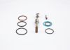 Repair Kit, unit injector