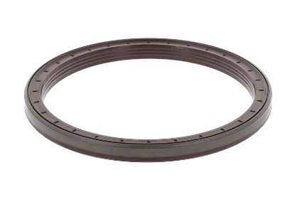 Shaft Seal, wheel hub