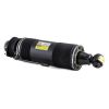 Air Suspension Strut MB SL-Class AMG (R230) 03-06 2303204613
