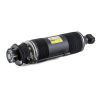 Air Suspension Strut MB SL-Class AMG (R230) 03-06 2303204613