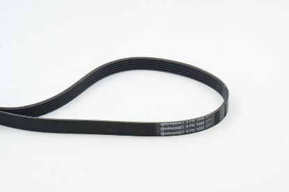 V-Ribbed Belt VAG - 03L 903 137D