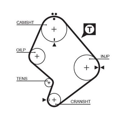 Timing Belt Toyota Hiace 2.4 D