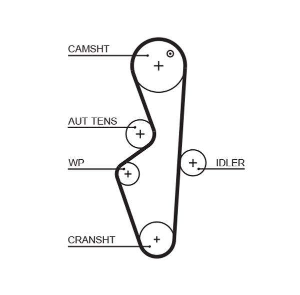 Timing Belt Rover Cityrover1.4