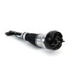 Air Suspension Strut Front Rt Eibach Air Strut - 13- MB S-Class/Maybac