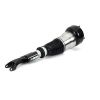 Air Suspension Strut Front Rt Eibach Air Strut - 13- MB S-Class/Maybac