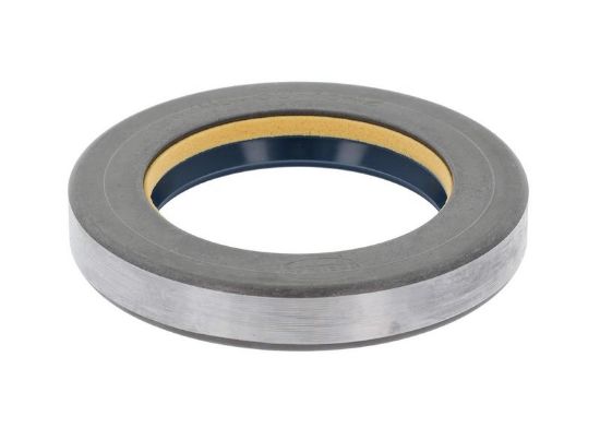 Seal Ring MASS 3019963X1