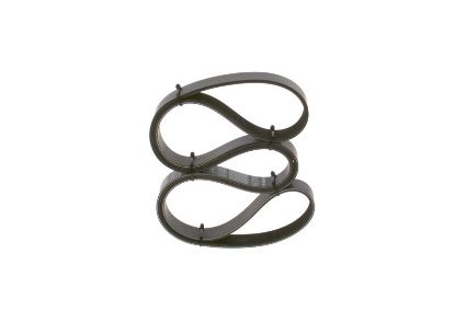 V-Ribbed Belt BMW - 11 28 1 735 190 - 6PK1560