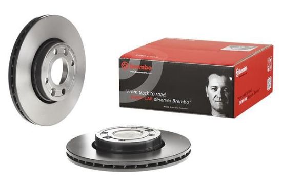 Brake Disc DACIA DOKKER (KE_) 11/12- / D