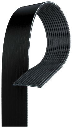V-Ribbed Belt