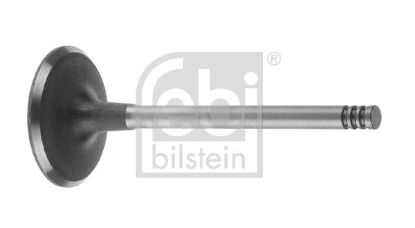Intake Valve VW-Audi 069 109 601 F