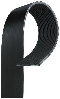 V-Ribbed Belt