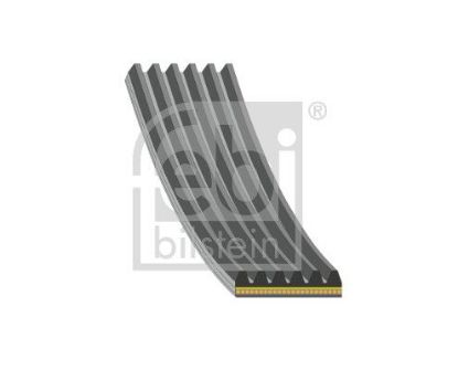 V-Ribbed Belt Not assigned