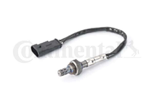 Oxygen Sensor
