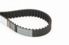 Timing Belt AUDI, VW 2,7/3,0 TDI