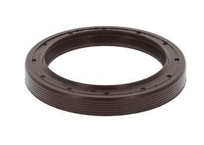 Shaft Seal, crankshaft CASE 295810A1