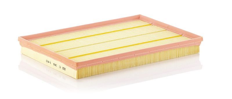 Air Filter BMW X5 (E70) 3.0si 06-