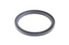 Shaft Seal, crankshaft DEUTZ 04175433