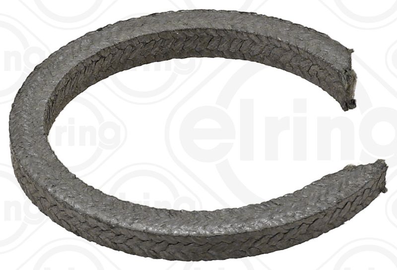 Shaft Seal, crankshaft CASE