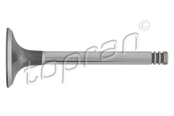 Intake Valve VAG