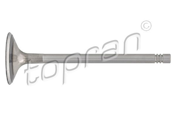 Intake Valve VAG 06109-601K